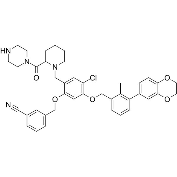BMS -1166-N-piperidine-CO-N-piperazine CAS No.: 2447066-14-8